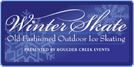 Winter Skate logo